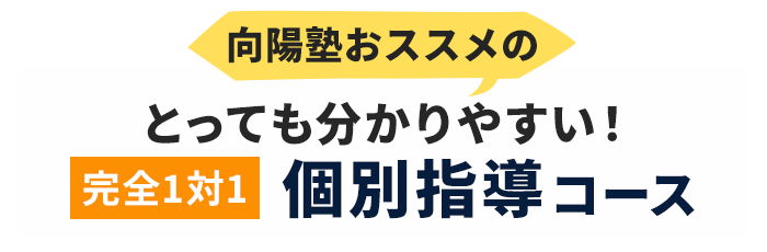 向陽塾おススメのとっっても分かりやすい！完全一対一　個別指導　コース
